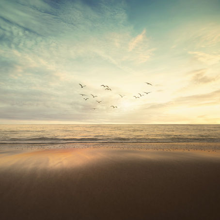 Clothed in Compassion – Colossians 3:12-14