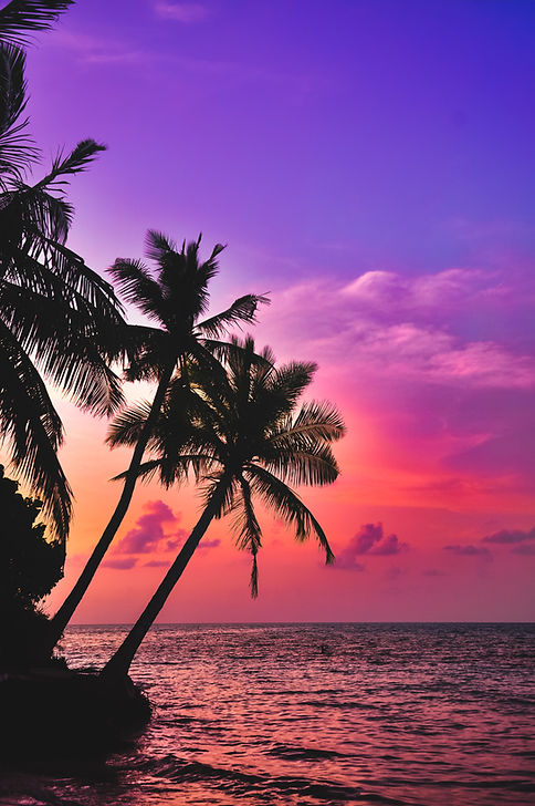 Discover Maldives with Kuri Beach View Inn