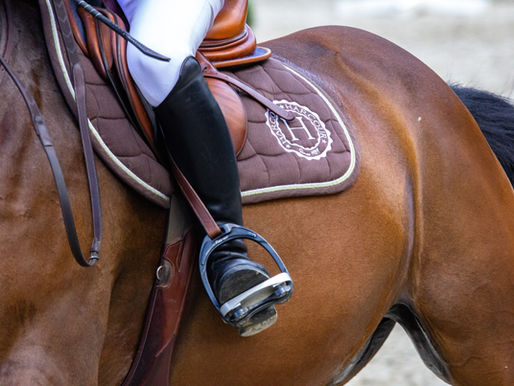 Muskelaufbau beim Pferd: So funktioniert er