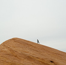 Image by Jeremy Lapak