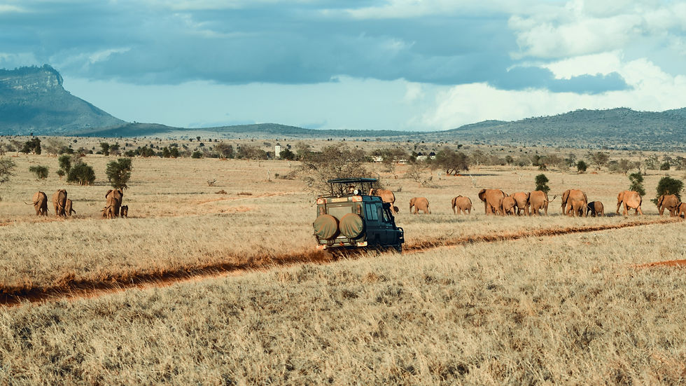 Safari vehicle driving through Akagera National Park in Rwanda