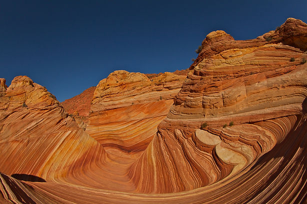 Image by Stephen Leonardi