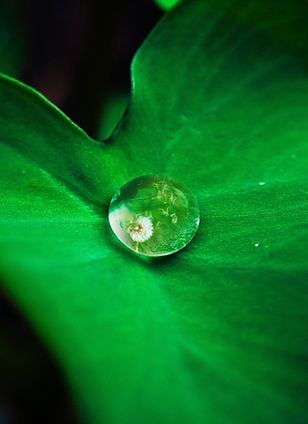 Image by Danist Soh