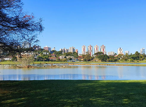 Image by GILBERTO JACOB