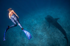 Image de Sebastian Pena Lambarri