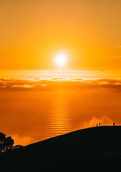 Image de JOHN TOWNER