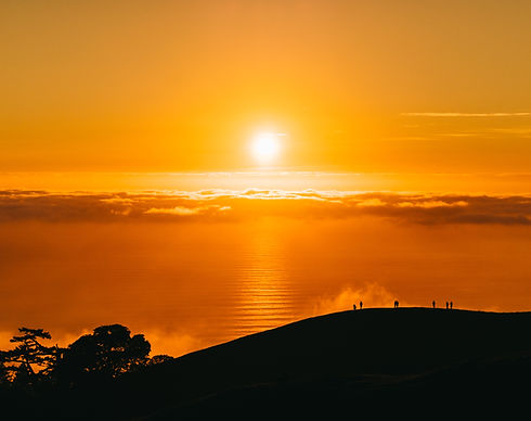Image by JOHN TOWNER