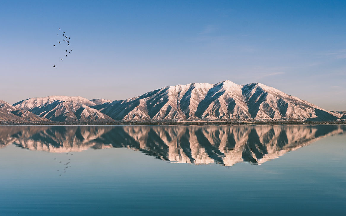Image by Andy Dutton
