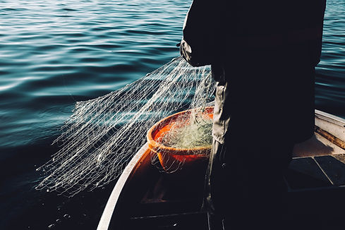 Image by Fredrik Öhlander