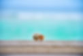 Image by Ahmed Sobah