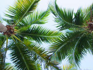 The Economic Perspective 7.30.2021