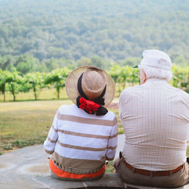 Senior Citizens Enjoying the Summer