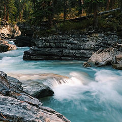 Image by Ezra Jeffrey-Comeau