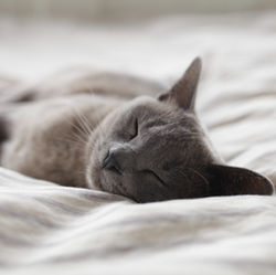 Four Ways I’m Combating Burnout