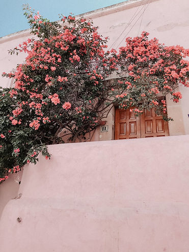 Image by Katelyn Barone