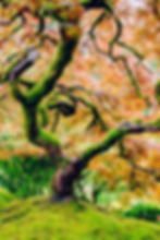 November ein Rückblick... und Einstimmung für Dezember