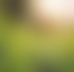 Combat Winter Blues with These Tips!