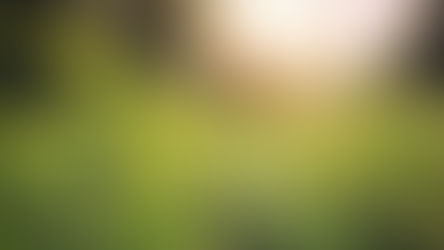 How to Manage Seasonal Allergies