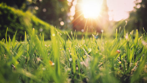 How to Manage Seasonal Allergies