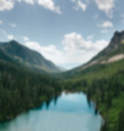 Image by Tevin Trinh