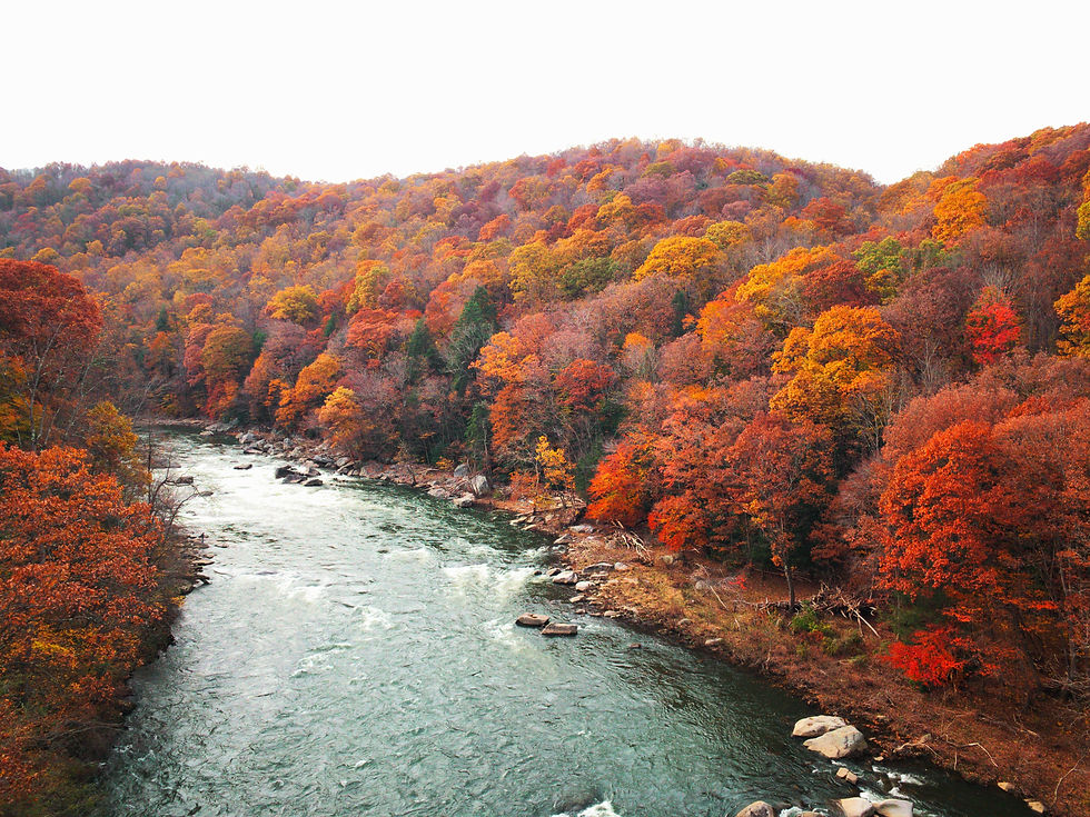 Image by Meriç Dağlı