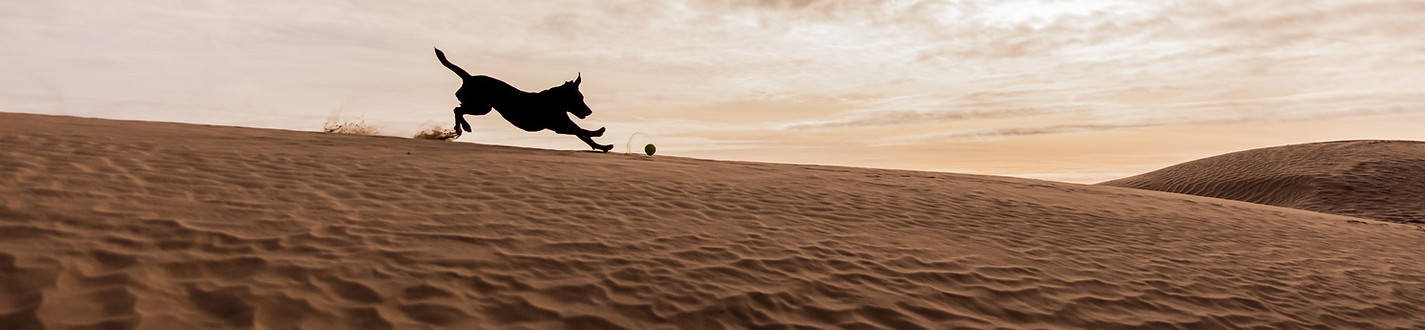 Image by Patrick Hendry