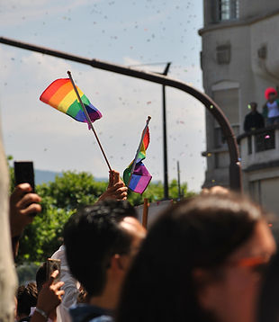 Image by Delia Giandeini