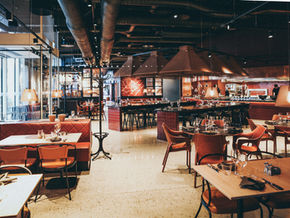 Sustainable Table Settings: The Rise of Eco-Friendly Sugarcane Bagasse Tableware in India's Restaurant Industry