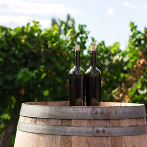 A Wine Lover’s Paradise in the Middle of the Atlantic - a small Guide to the Volcanic Vines of the Azores