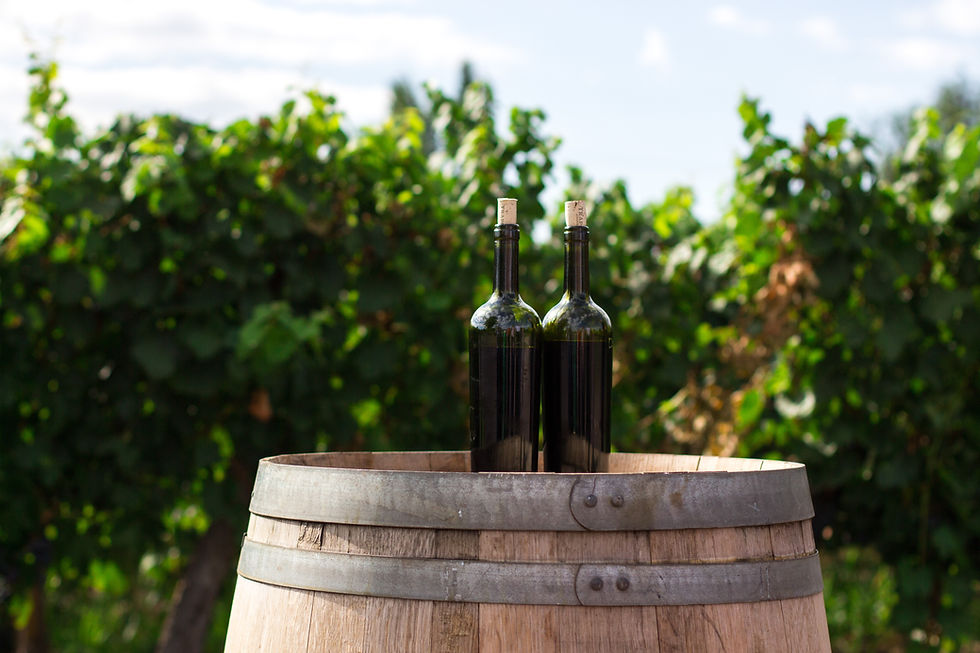 Wine Decanter