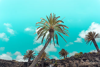Image de Javier Martinez