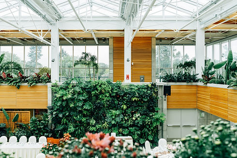 Living Wall