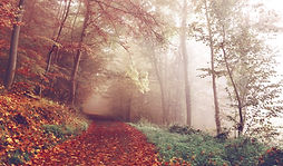 Image de Sebastian Unrau