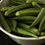 Thumbnail: Pickled Okra 16oz