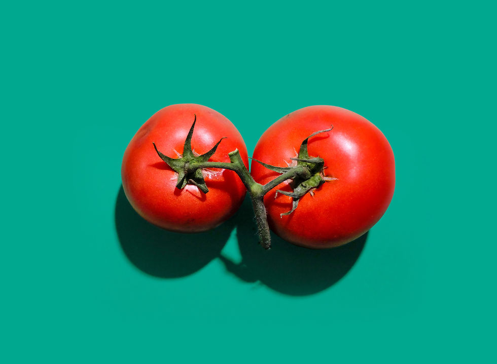 Two tomatoes on a green background