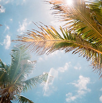 Image by Jorge Vasconez