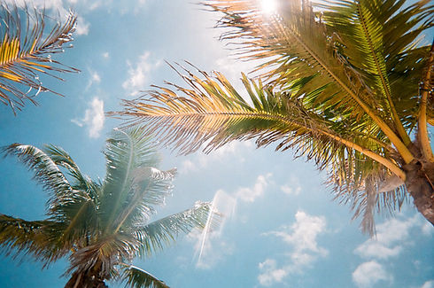 DRIVING TO MARCO ISLAND FROM NAPLES
