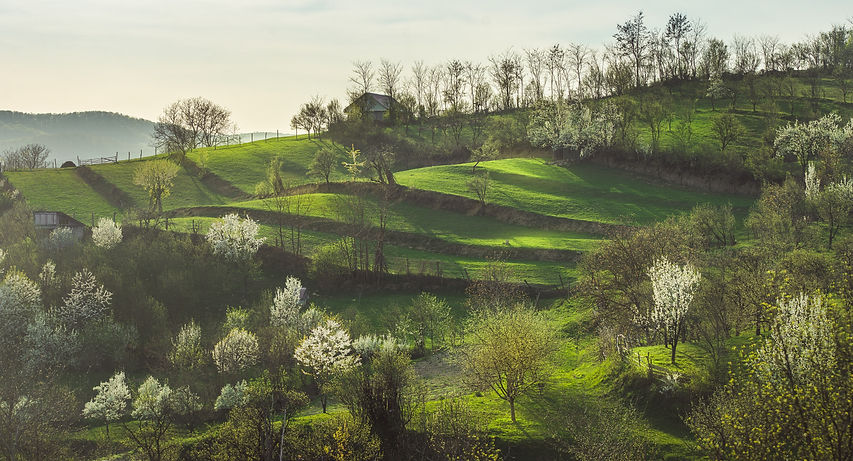 Transilvania e Dracula Tour