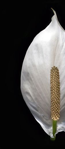 Image de David Clode