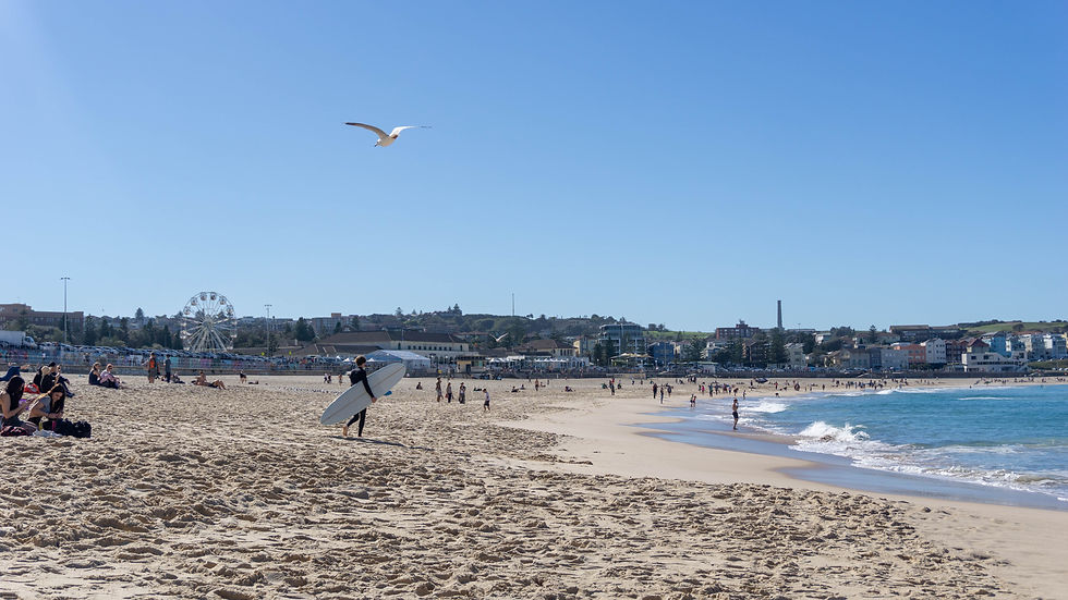 Sprachkurs und surfen