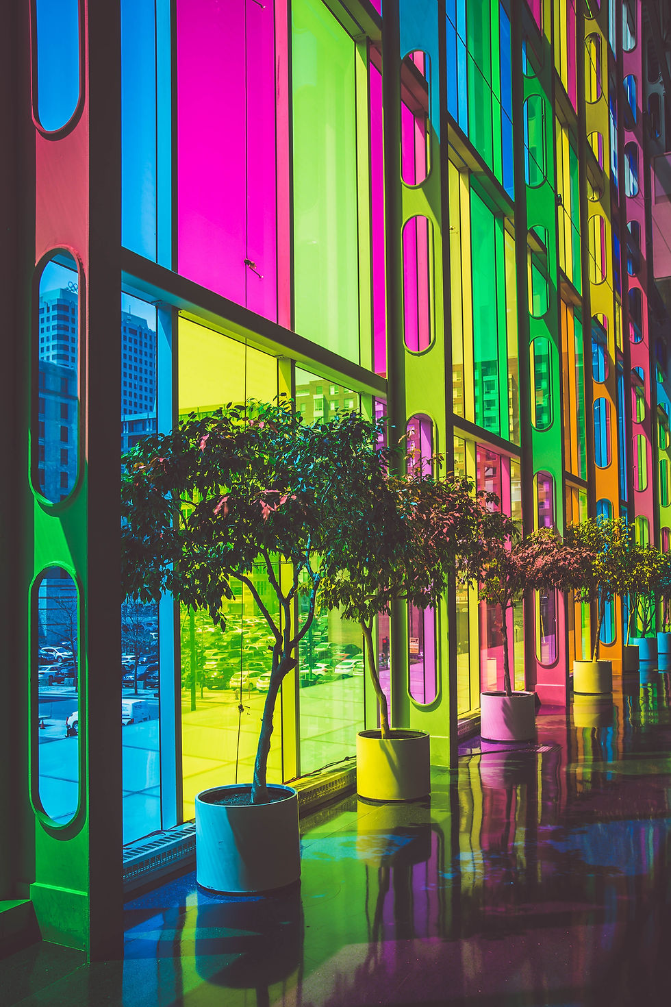 Image by Felix Dubois-Robert