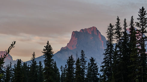 Image by Kym MacKinnon