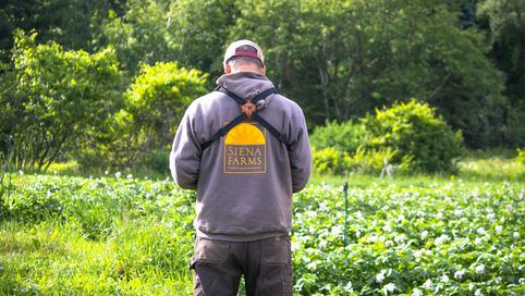 How Can Farmers Model Biodiversity Outcomes Before Making Changes?