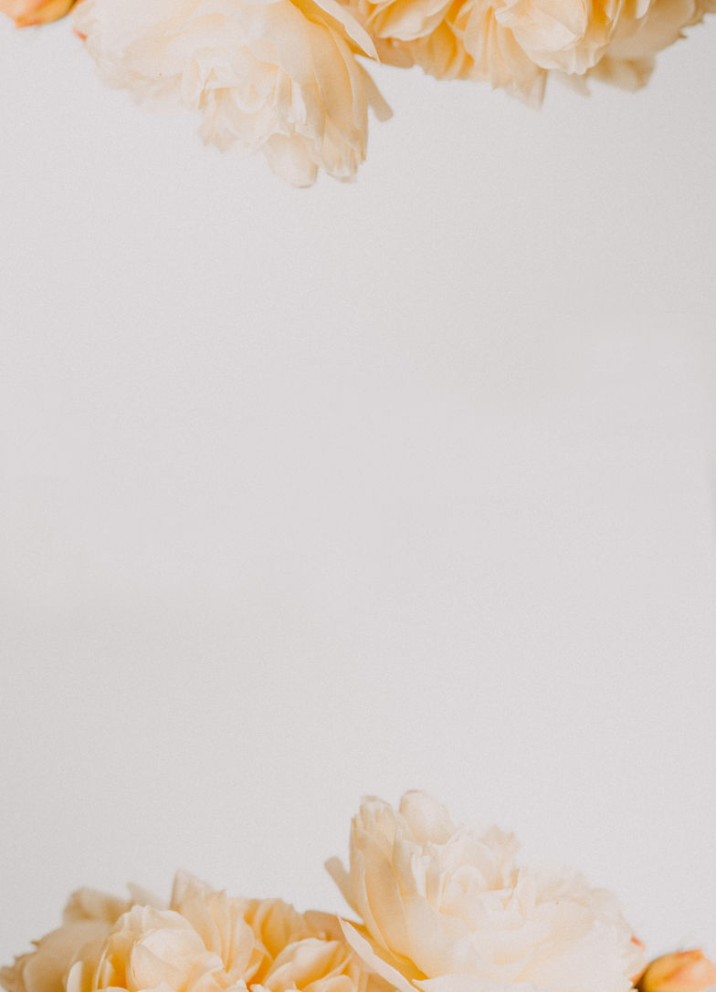 Image by Annie Spratt