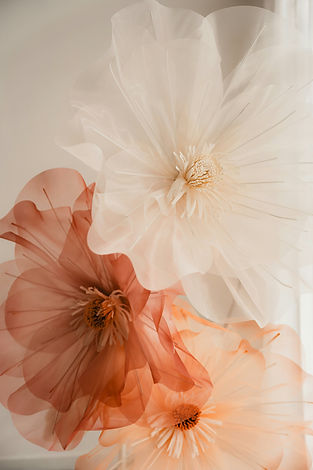 Image by Sueda Dilli