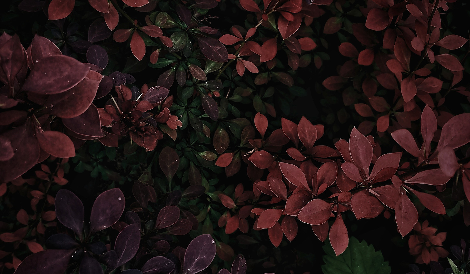Image by Chulpan Gallyamova