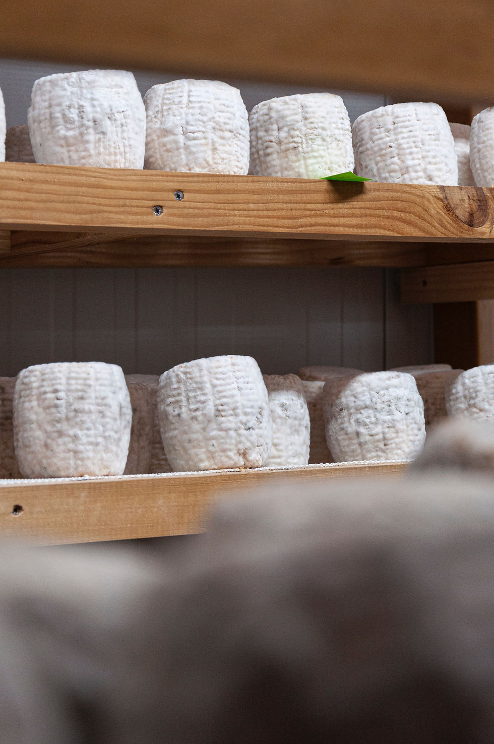 Thumbnail: Aged Goat Cheese 