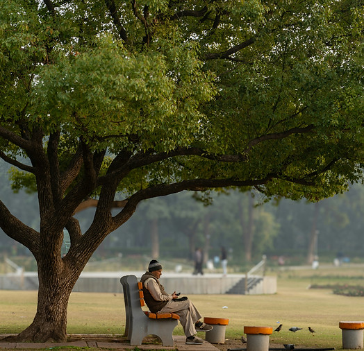 City park providing recreational and other ecosystem services