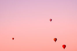 Image by Sarah Sheedy