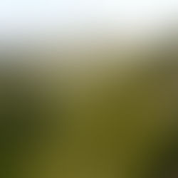 La geografÃa emocional: cómo los paisajes moldean la identidad de quienes los habitan